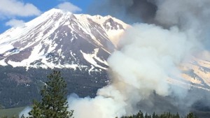 19 May 2016 - Weed Fire