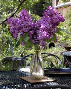 Lilacs